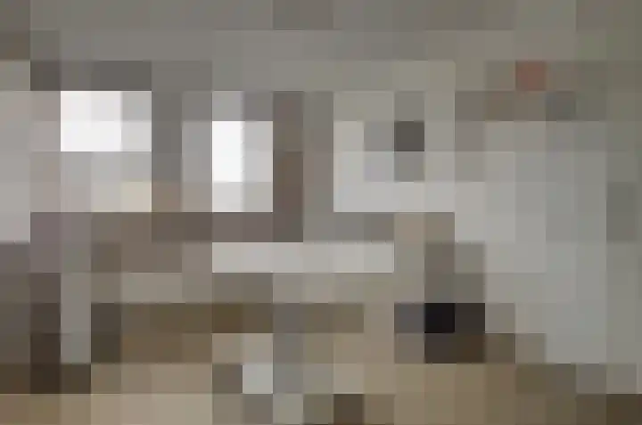 Kamperfoelielaan 37 Swifterbant thumbnail 19