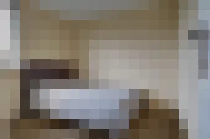 Kamperfoelielaan 37 Swifterbant thumbnail 23