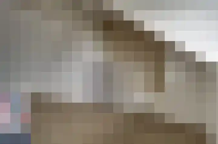 Kamperfoelielaan 37 Swifterbant thumbnail 26