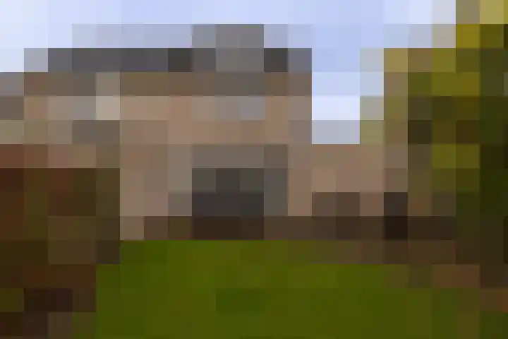 Kamperfoelielaan 37 Swifterbant thumbnail 28