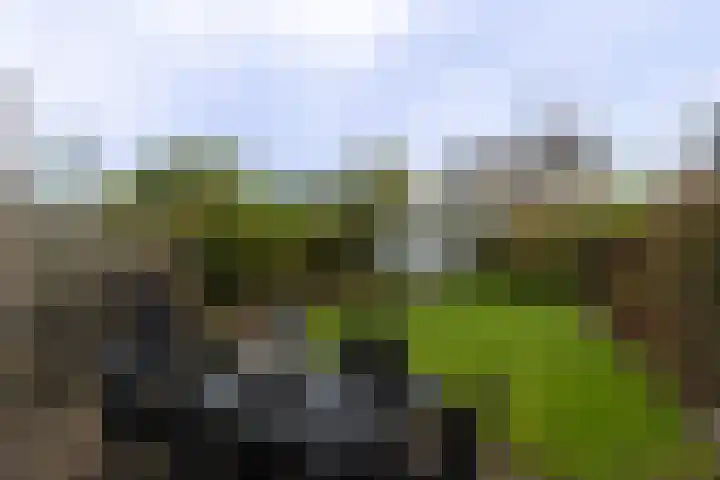 Kamperfoelielaan 37 Swifterbant thumbnail 30