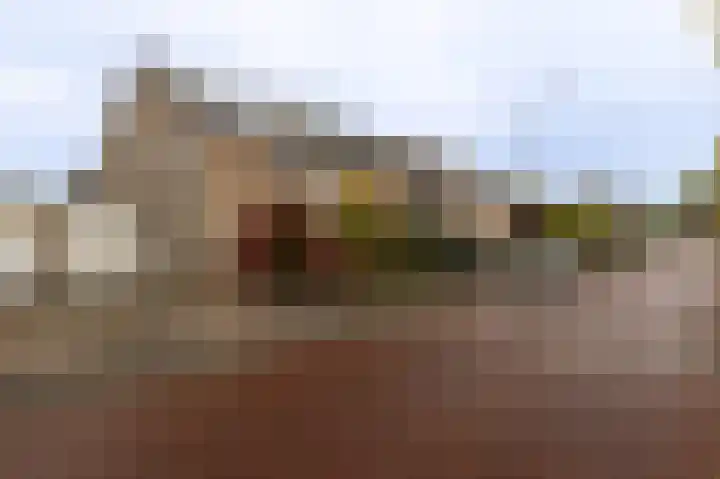 Kamperfoelielaan 37 Swifterbant thumbnail 31