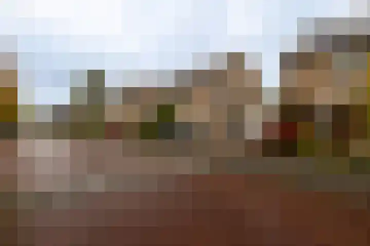 Kamperfoelielaan 37 Swifterbant thumbnail 32