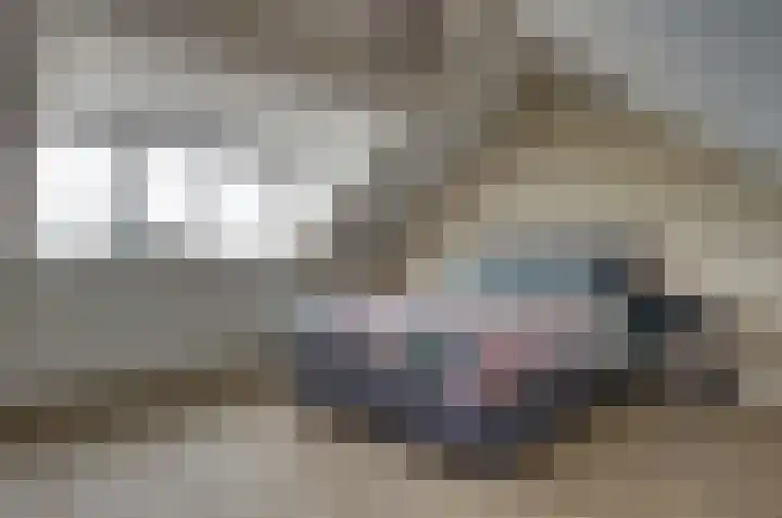 Kamperfoelielaan 37 Swifterbant thumbnail 4