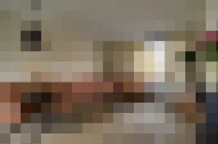 Kamperfoelielaan 37 Swifterbant thumbnail 8