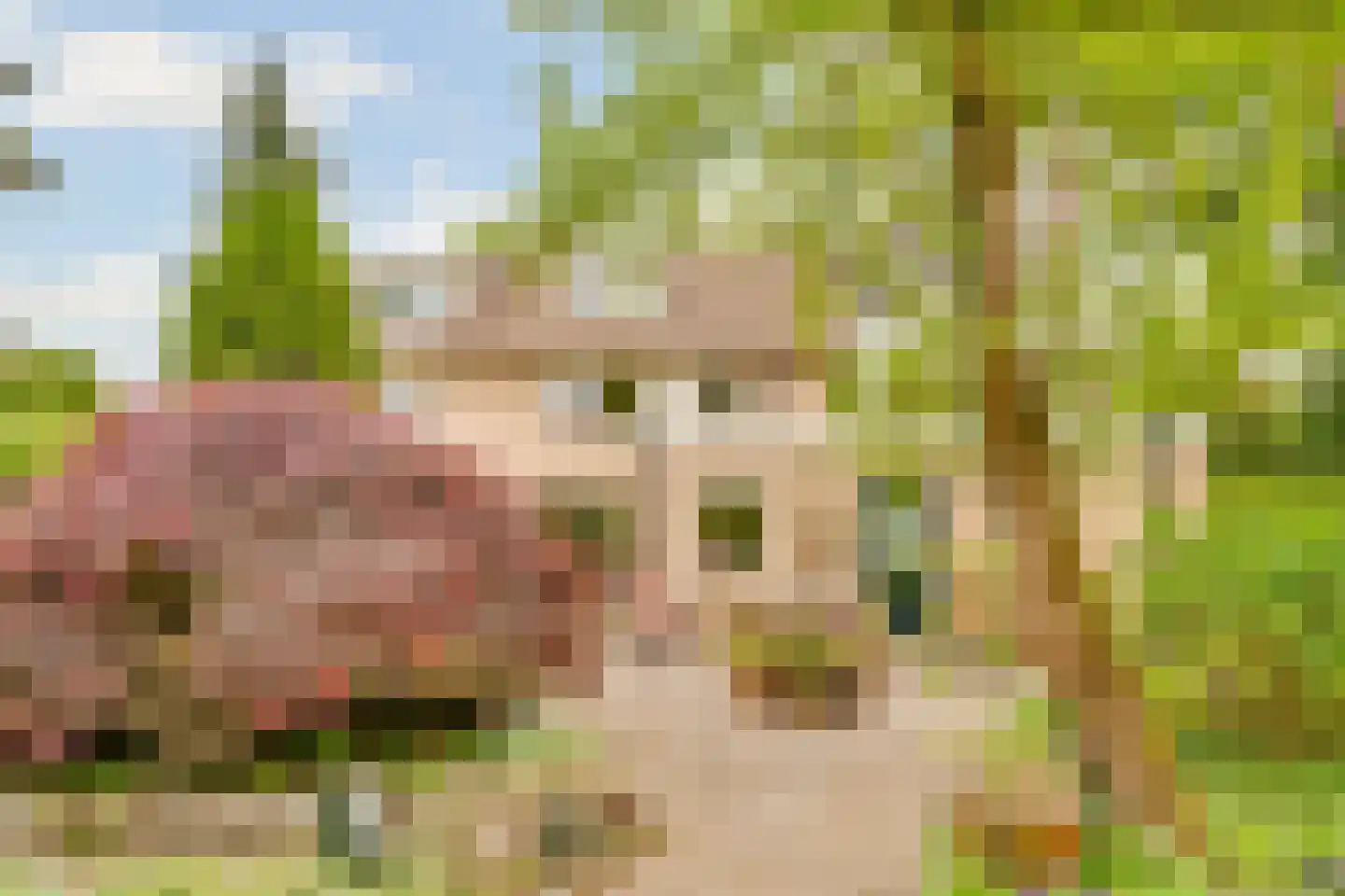 Kamperfoelielaan 39 Bosch en Duin thumbnail 33
