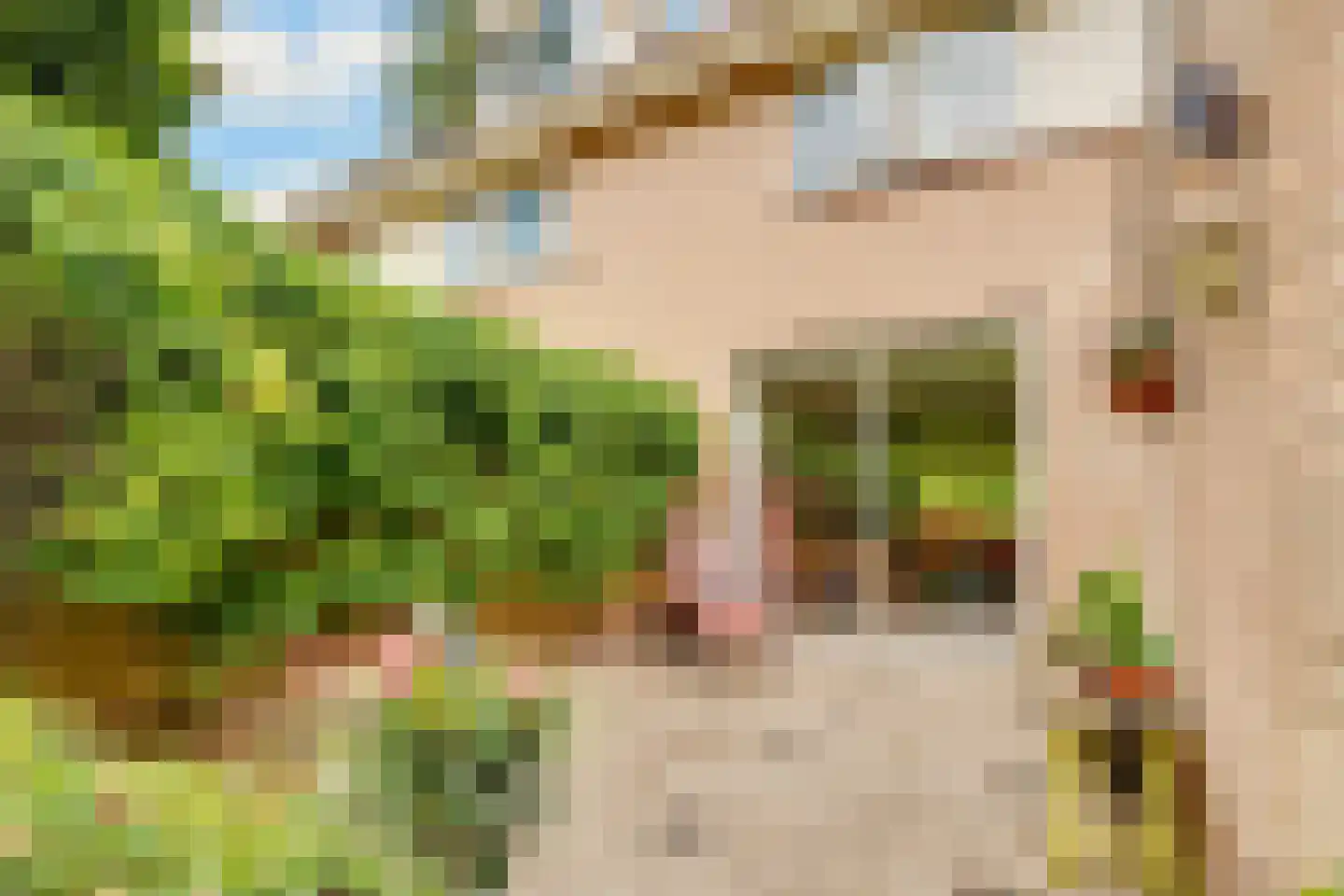 Kamperfoelielaan 39 Bosch en Duin thumbnail 34