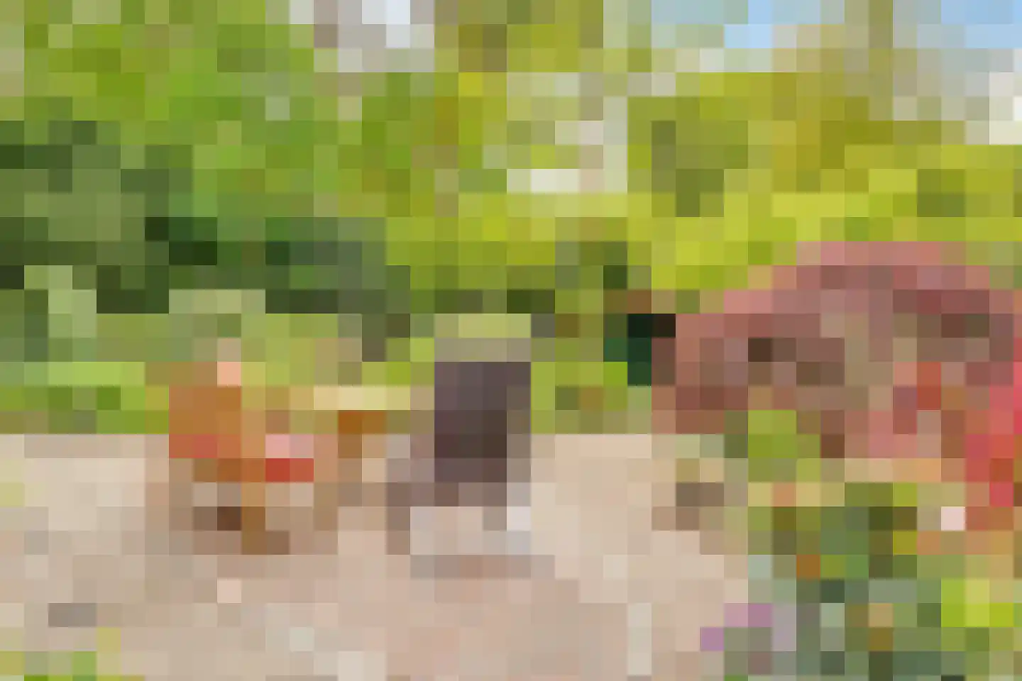 Kamperfoelielaan 39 Bosch en Duin thumbnail 35