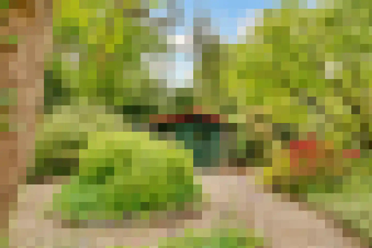 Kamperfoelielaan 39 Bosch en Duin thumbnail 36
