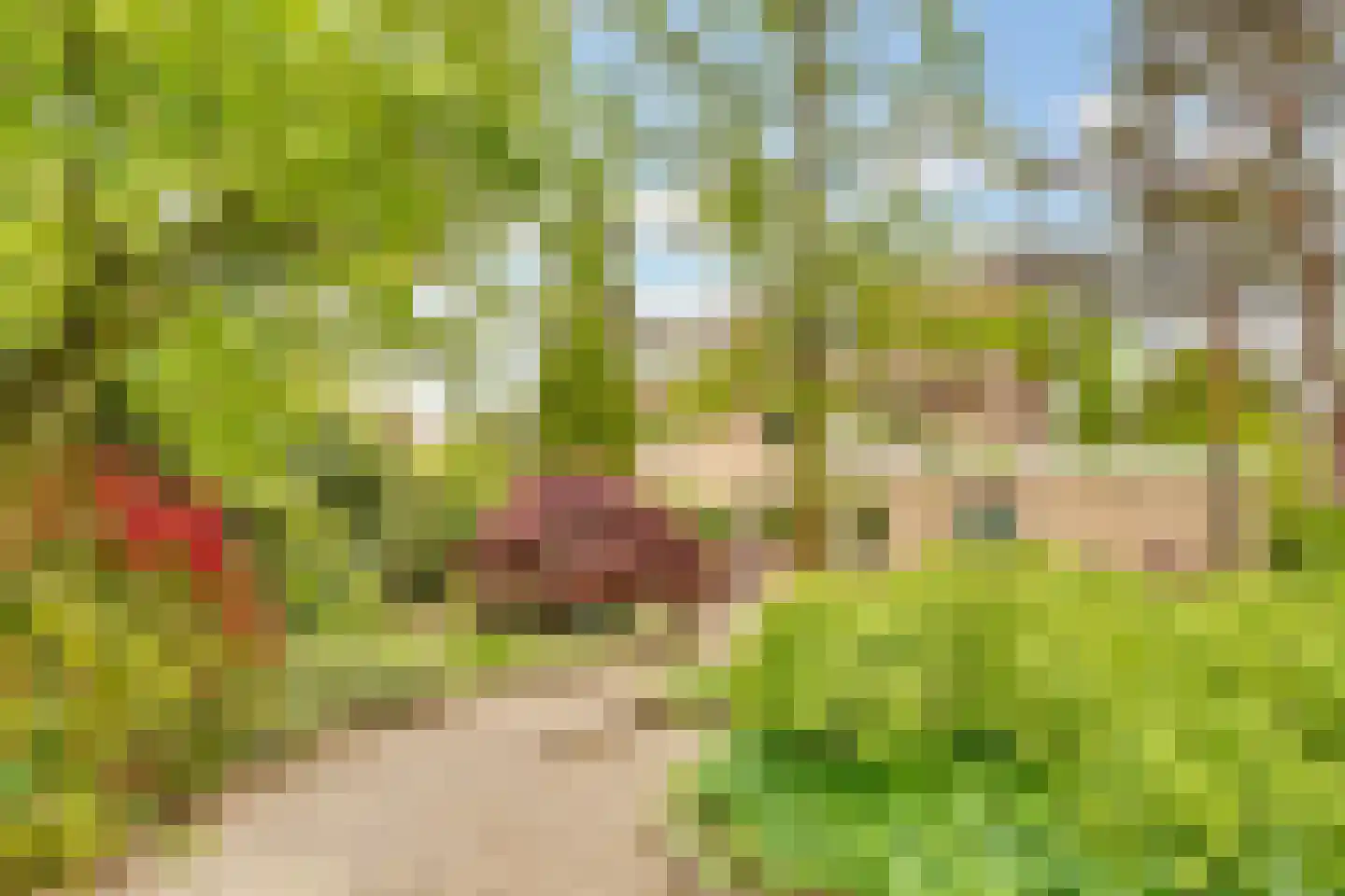 Kamperfoelielaan 39 Bosch en Duin thumbnail 38