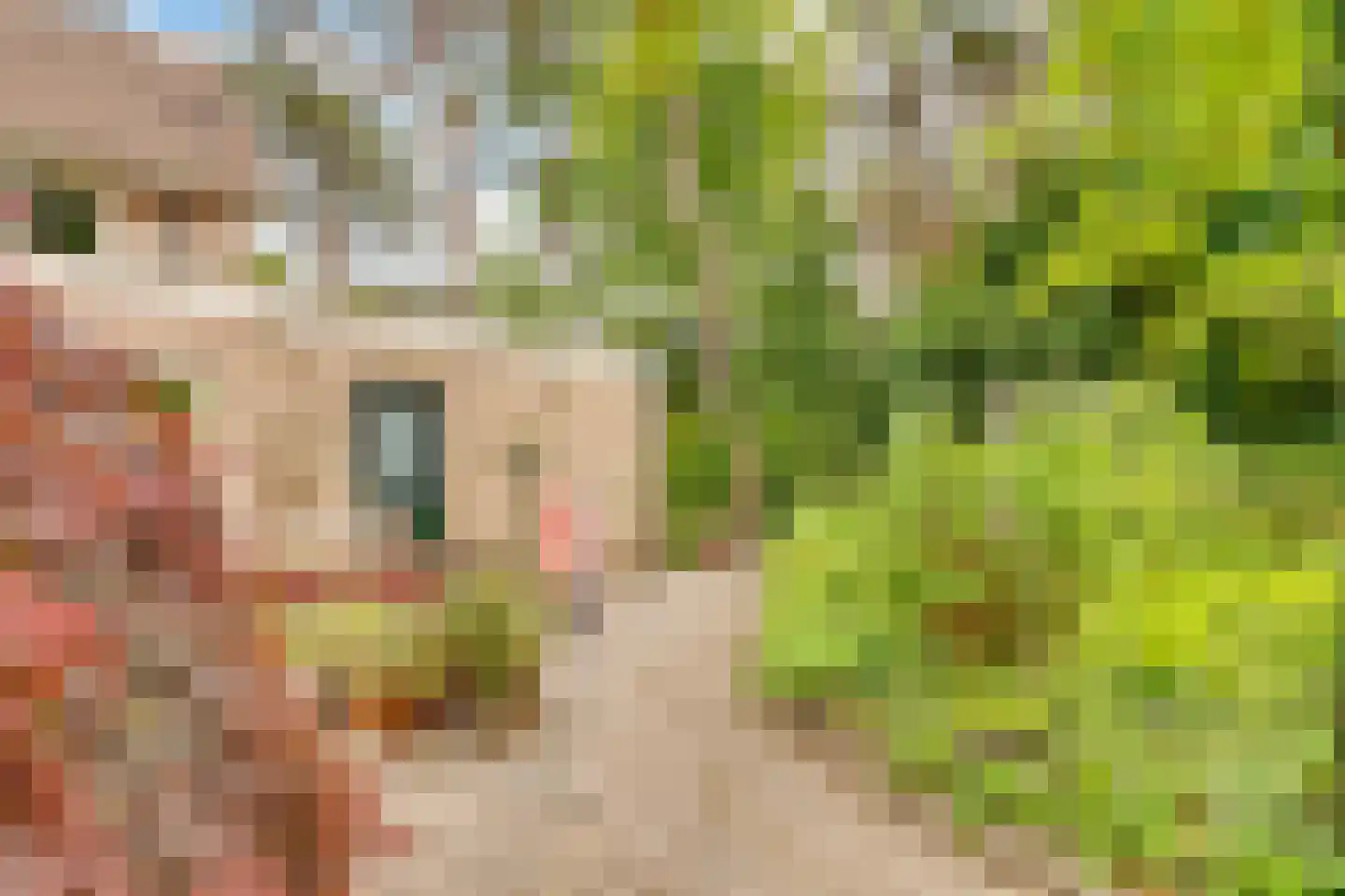 Kamperfoelielaan 39 Bosch en Duin thumbnail 39