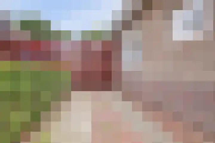 Kamperfoelielaan 4 Ede thumbnail 10
