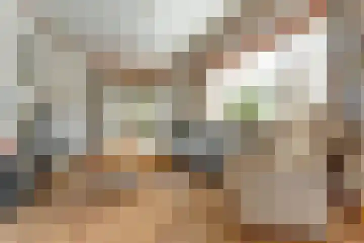 Kamperfoelielaan 4 Ede thumbnail 12