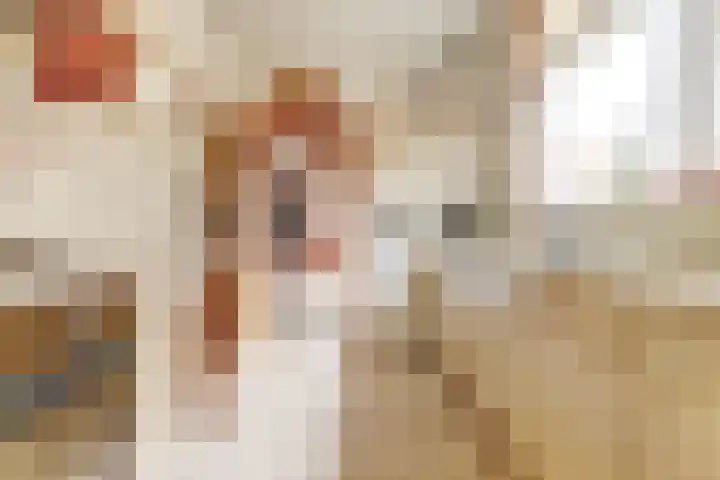 Kamperfoelielaan 4 Ede thumbnail 20