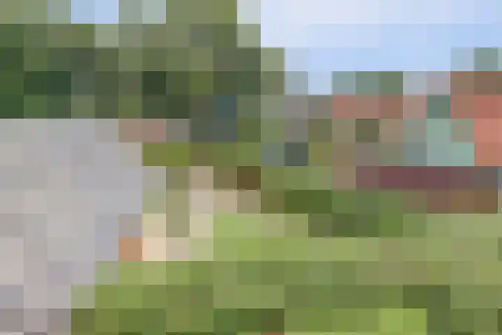 Kamperfoelielaan 4 Ede thumbnail 48