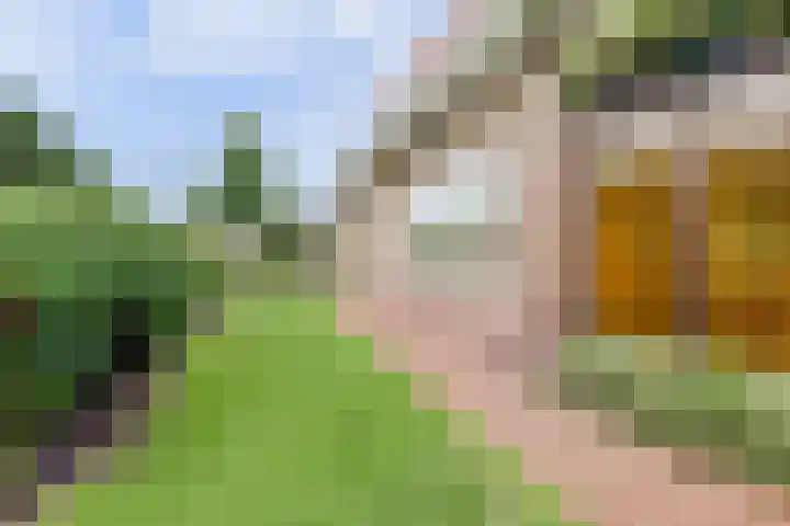 Kamperfoelielaan 4 Ede thumbnail 49