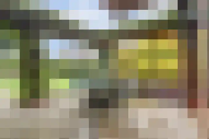 Kamperfoelielaan 4 Ede thumbnail 51