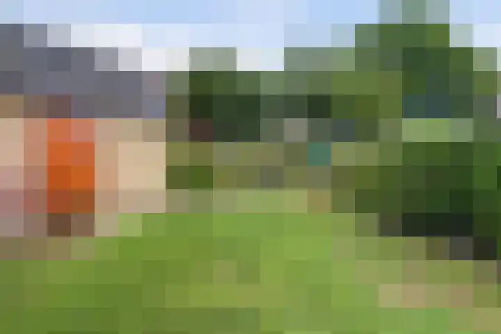 Kamperfoelielaan 4 Ede thumbnail 52