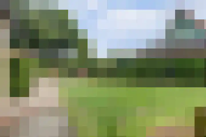 Kamperfoelielaan 4 Ede thumbnail 53