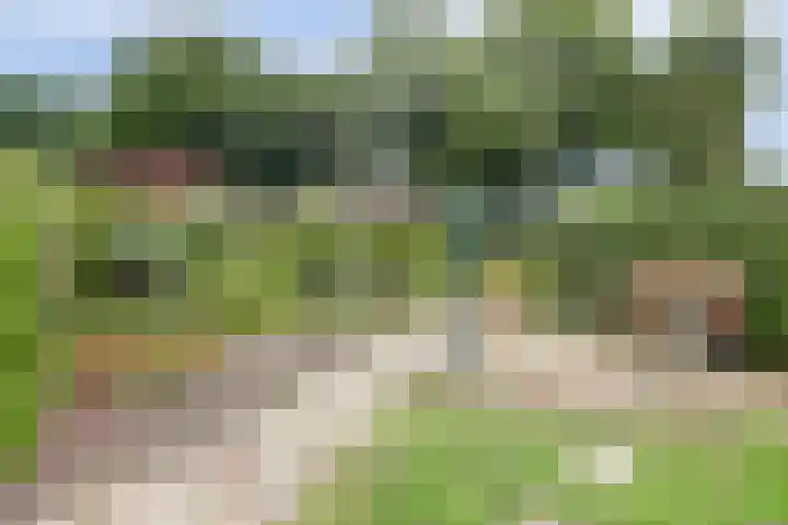 Kamperfoelielaan 4 Ede thumbnail 54