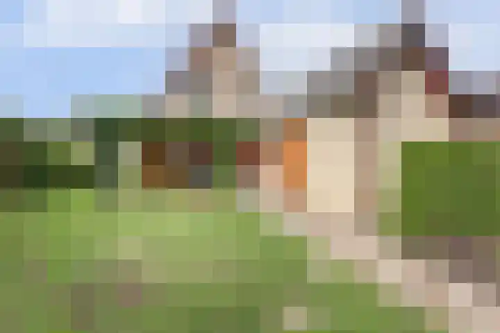 Kamperfoelielaan 4 Ede thumbnail 7