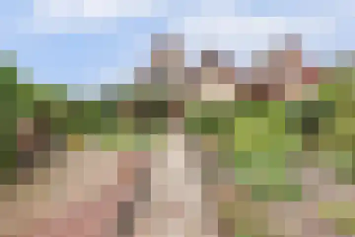 Kamperfoelielaan 4 Ede thumbnail 8