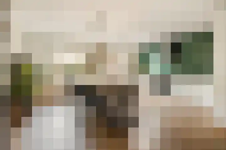 Kamperfoelielaan 43 Ede thumbnail 10