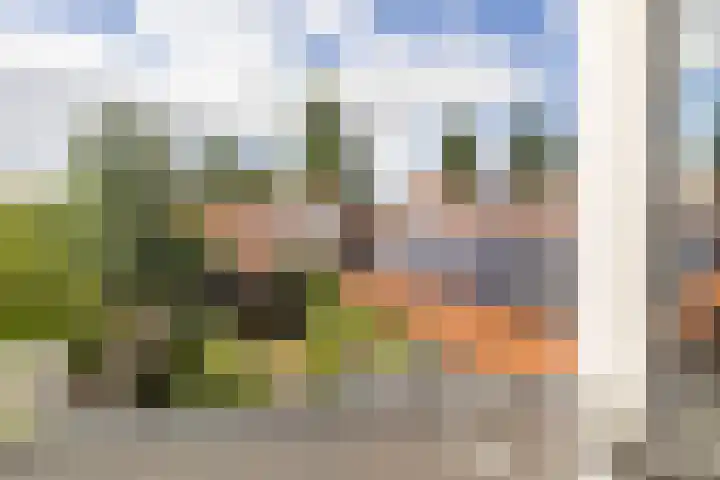 Kamperfoelielaan 43 Ede thumbnail 17