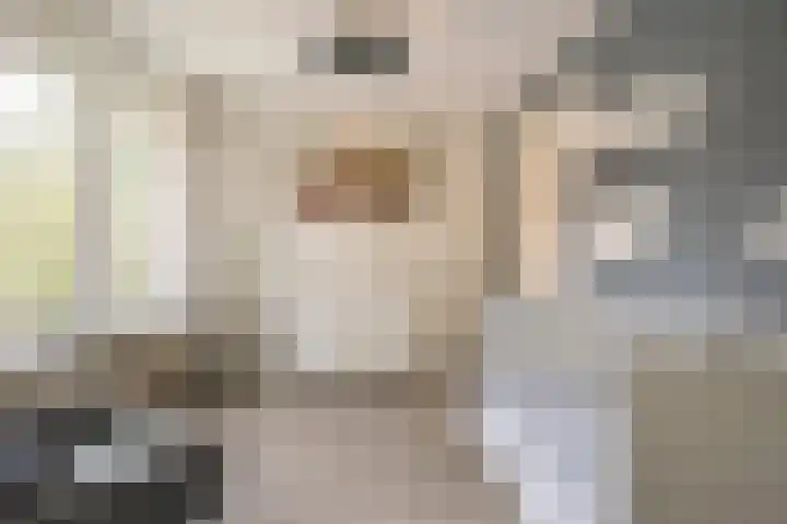 Kamperfoelielaan 43 Ede thumbnail 19