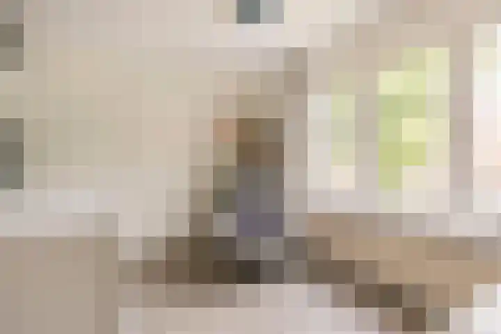 Kamperfoelielaan 43 Ede thumbnail 20