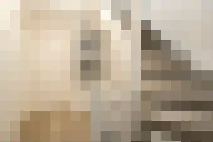 Kamperfoelielaan 43 Ede thumbnail 24