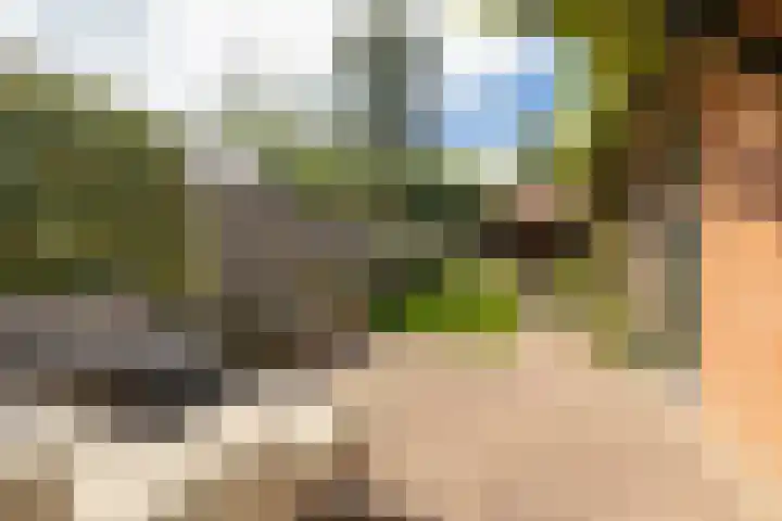 Kamperfoelielaan 43 Ede thumbnail 28