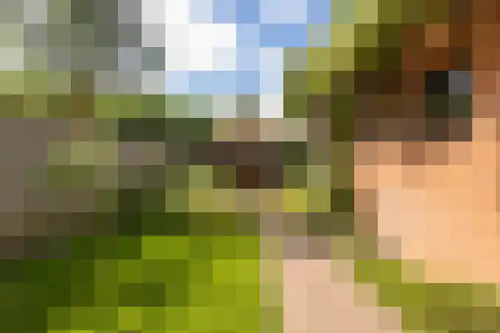 Kamperfoelielaan 43 Ede thumbnail 29