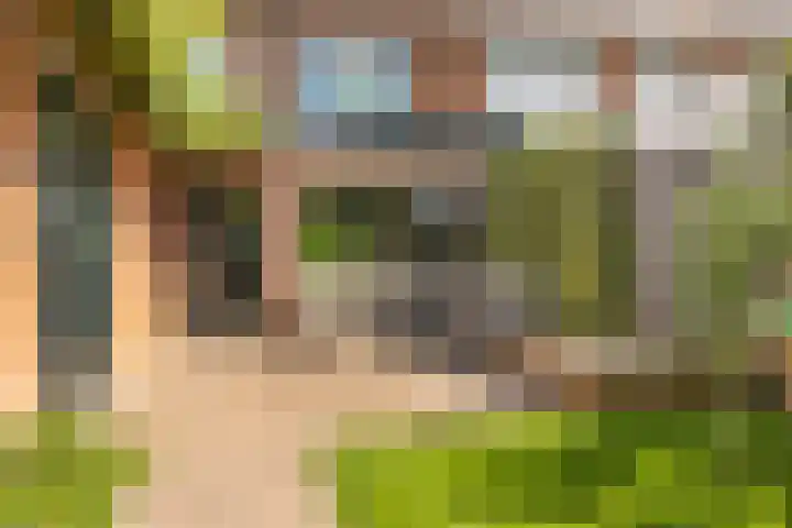 Kamperfoelielaan 43 Ede thumbnail 32