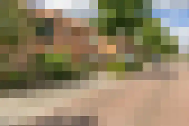 Kamperfoelielaan 43 Ede thumbnail 33