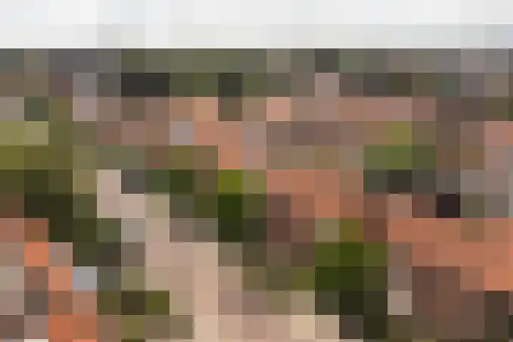 Kamperfoelielaan 43 Ede thumbnail 35