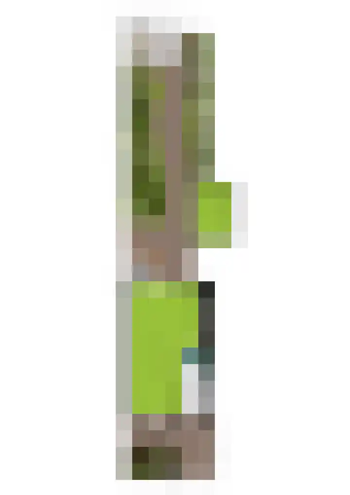Kamperfoelielaan 43 Ede thumbnail 40