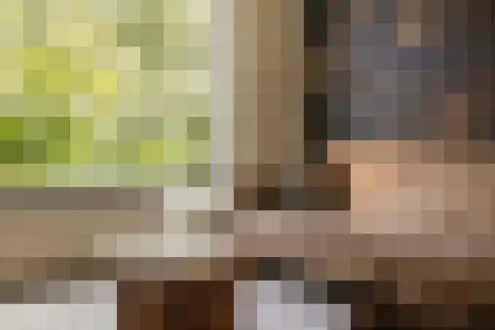 Kamperfoelielaan 43 Ede thumbnail 6