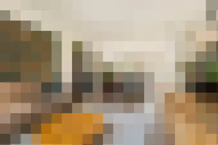 Kamperfoelielaan 43 Ede thumbnail 8