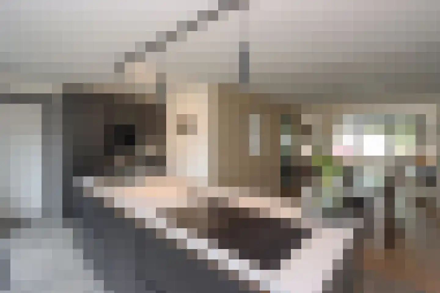 Kamperfoelielaan 44 Swifterbant thumbnail 16