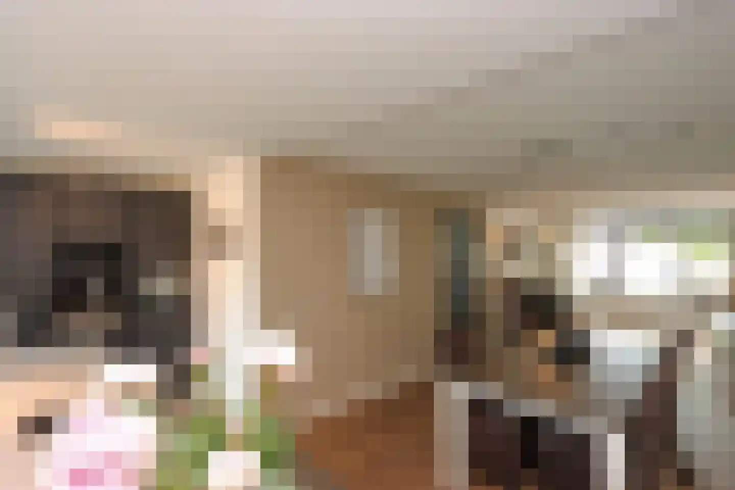 Kamperfoelielaan 44 Swifterbant thumbnail 18