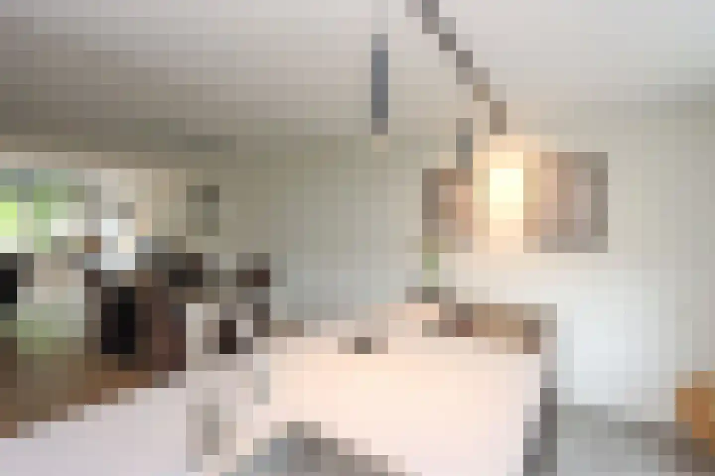 Kamperfoelielaan 44 Swifterbant thumbnail 20