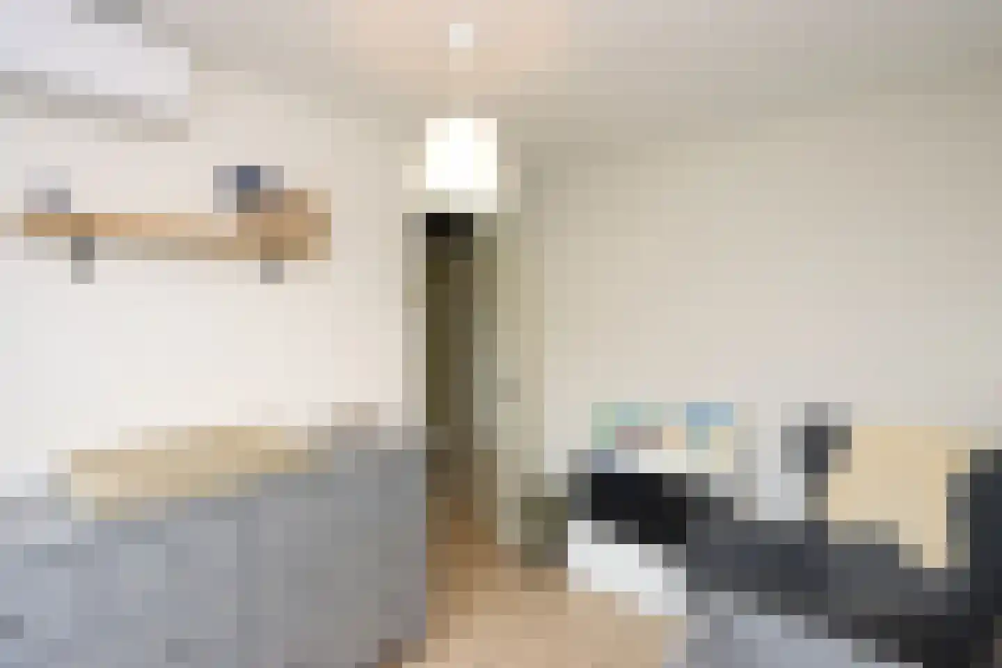 Kamperfoelielaan 44 Swifterbant thumbnail 28