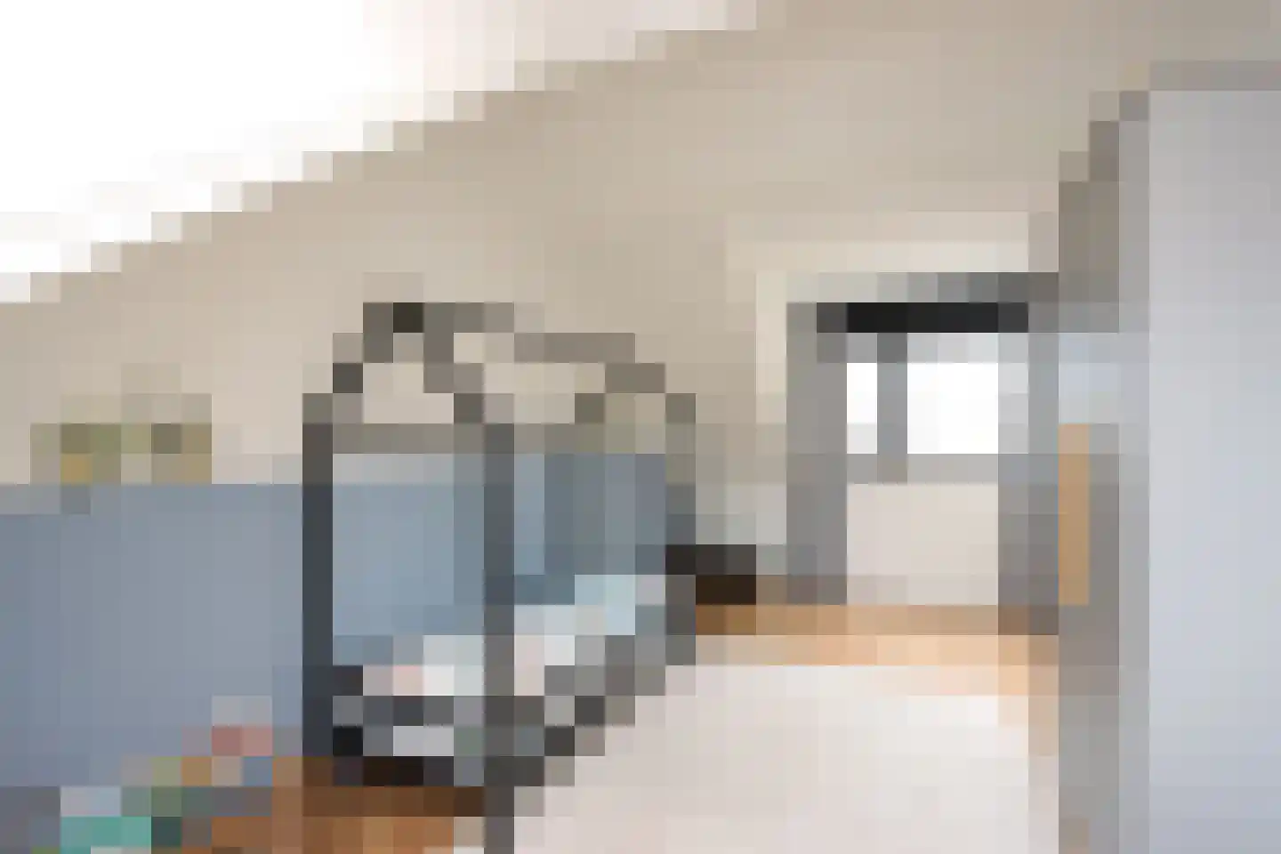 Kamperfoelielaan 44 Swifterbant thumbnail 34