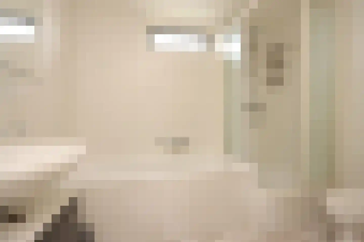 Kamperfoelielaan 44 Swifterbant thumbnail 35
