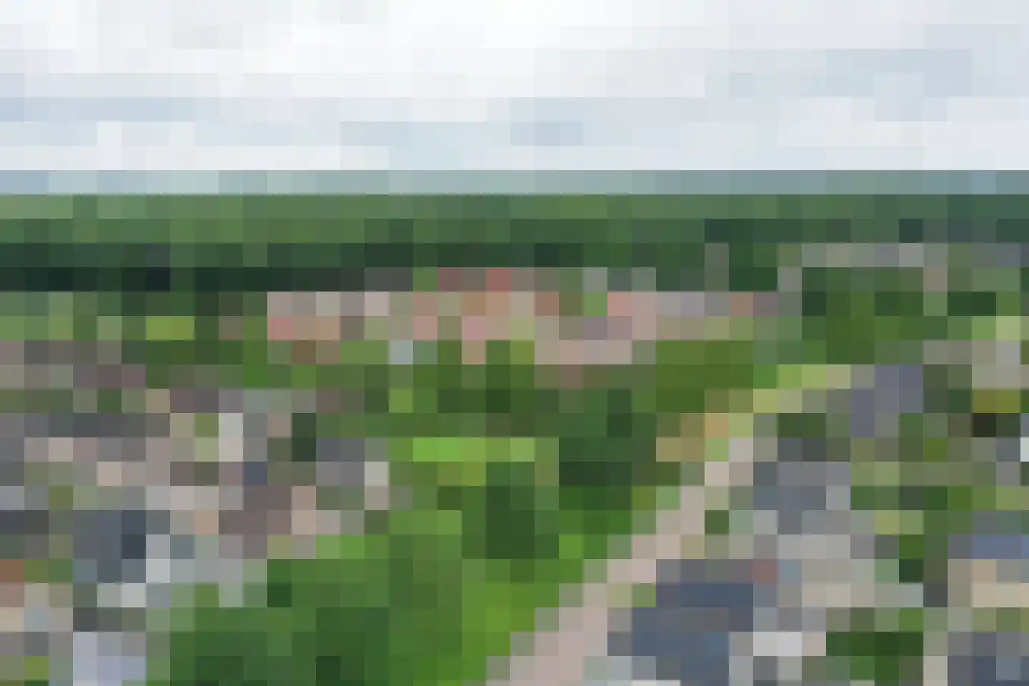 Kamperfoelielaan 44 Swifterbant thumbnail 48