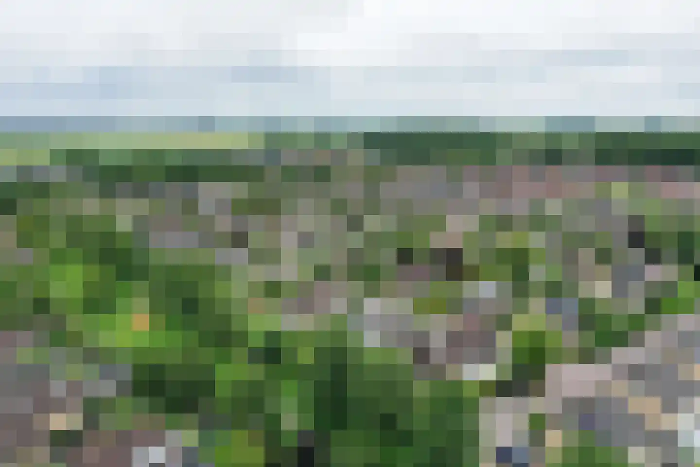 Kamperfoelielaan 44 Swifterbant thumbnail 50