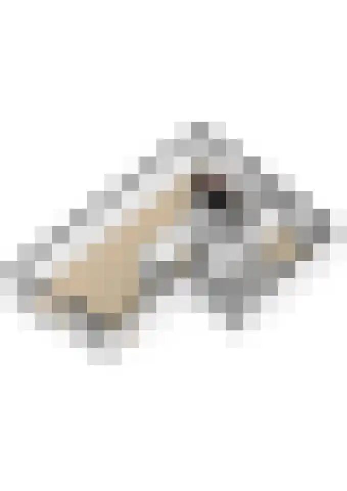 Kamperfoelielaan 44 Swifterbant thumbnail 55