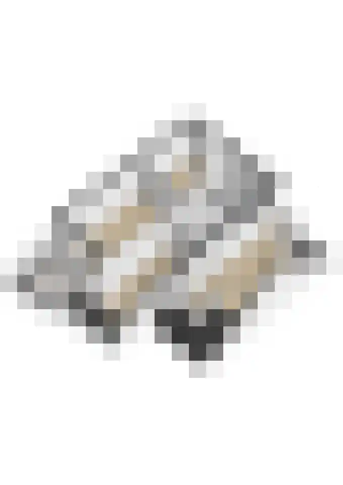 Kamperfoelielaan 44 Swifterbant thumbnail 56