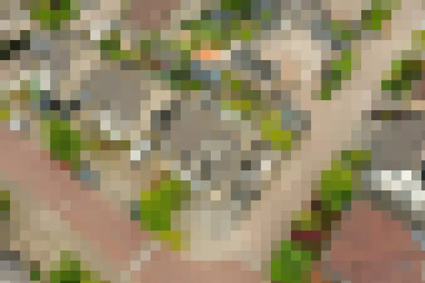 Kamperfoelielaan 44 Swifterbant thumbnail 6